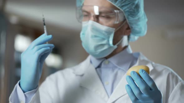 Agronomist Pumping Potatoes With Fertilizer Before Planting to Get Big Harvest alt