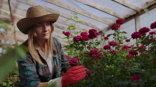 Girl Florist in a Flower Greenhouse Sitting Examines Roses Touches Hands Smiling. Little Flower alt