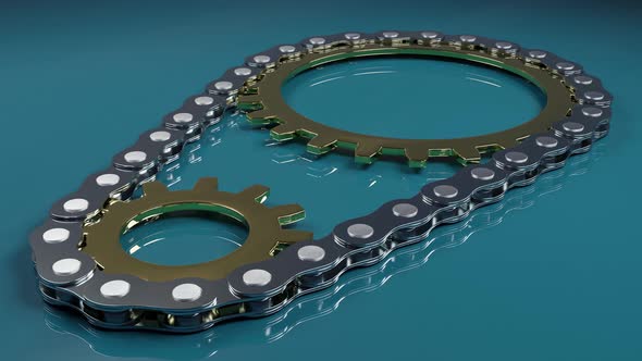 Stainless Steel Chain With Two Gold Gears