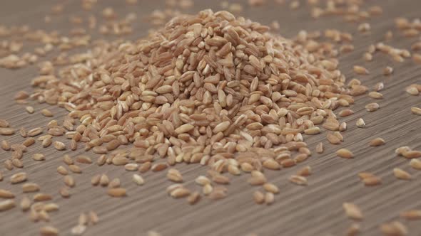 Wheat spelt grain rotating on wooden background.Organic agriculture vegan vegetarian ingredient alt