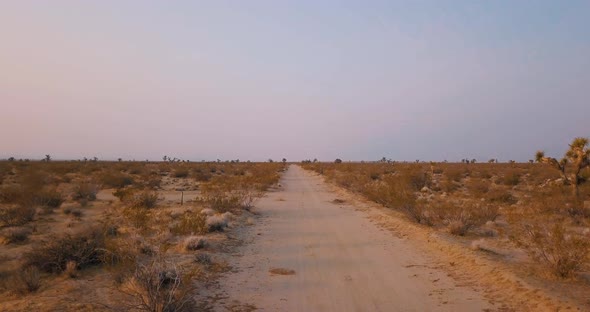 Moving backward along a Mojave Desert path at golden hour, LOW AERIAL alt