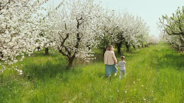 Mother and Little Son are Walking in the Blooming Garden alt