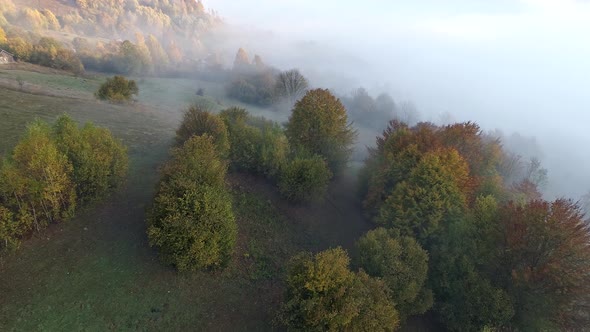 Flying Above Foggy Mountain Top in Morning in Carpathians, Ukraine, Autumn Trees and Farms alt