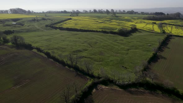 North Cotswolds Aerial Spring Landscape Grass Meadow, Rape Field, Colour Graded alt