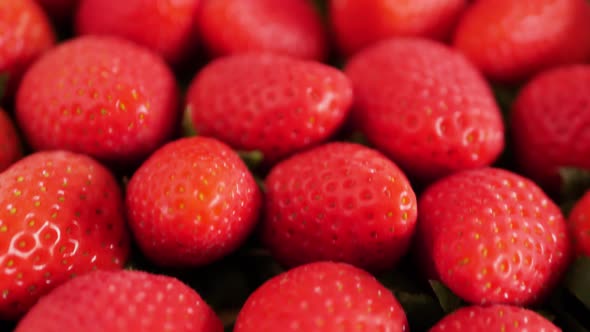 Background from freshly harvested delicious red strawberries
