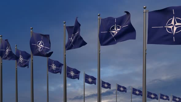 The Nato Flags Waving In The Wind  2K alt