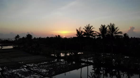 Sun Setting in the Rice Fields - Bali, Indonesia