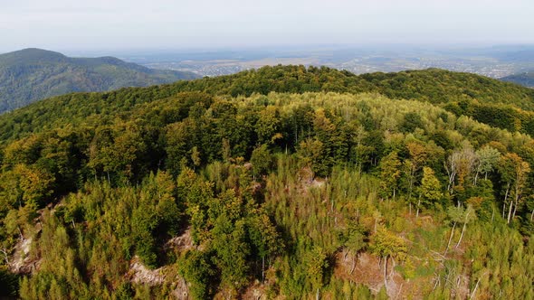 Aerial view mountain with trees in autumn