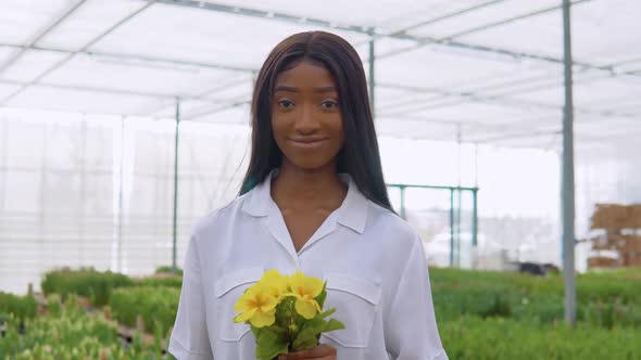 Beautiful Young African American Girl in a White Shirt Stands in a Greenhouse and Holds Yellow alt