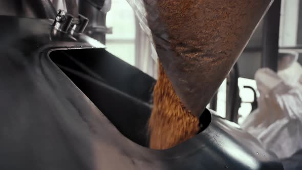 Pouring Malt Grains Into The  Milling Tank In The Brewery. alt