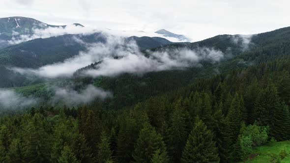 Flying Through the Clouds Above Mountain Tops. High Peaks with Forest, Wonderful Natural Landscape alt