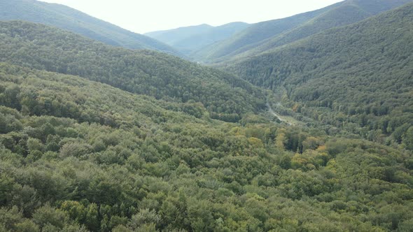 Nature of Ukraine: Carpathian Mountains Slow Motion. Aerial View alt
