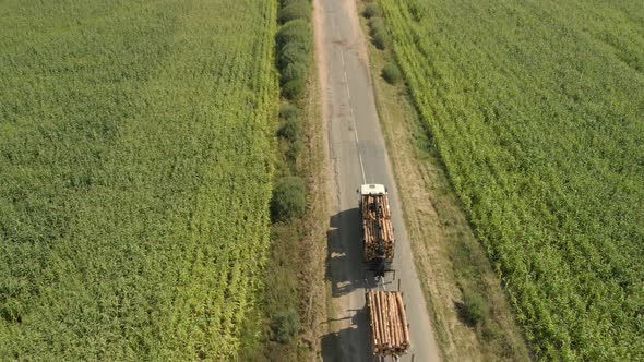 Logging Truck Full Of Sawn Down Tree Trunks Drives Along A Country Road Between Agricultural Fields alt