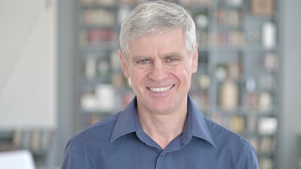 Portrait of Handsome Middle Aged Man Saying Yes By Shaking Head alt