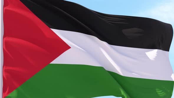 Palestine Flag Looping Background