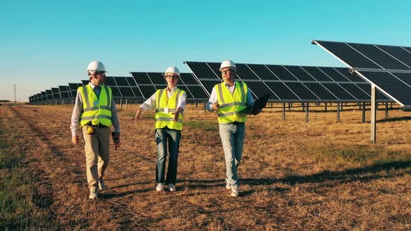Professional Engineers, Workers Walking Around Solar Power Station. Solar Power Plant Workers, Solar alt