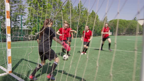 Female Football Players Scoring Goal during Outdoor Match alt