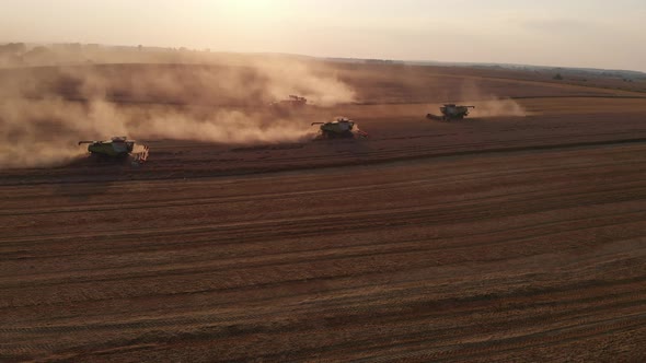 Aerial shot: flying around combines harvesting an summer sunset