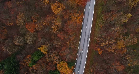 Flying Over Country Road Through Forest in Autumn 4K