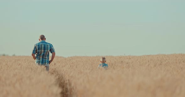 Dad and His Little Son are on a Wheat Field