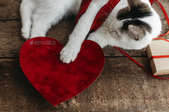 Happy Valentines Day. Red Ribbon Heart on white background. Valentines Day  concept Stock Photo