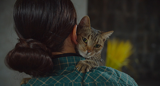 More Human Than Human