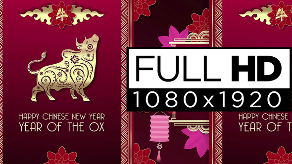 The Year Of The Metal Ox 2