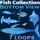 Bottom View Collection - VideoHive Item for Sale