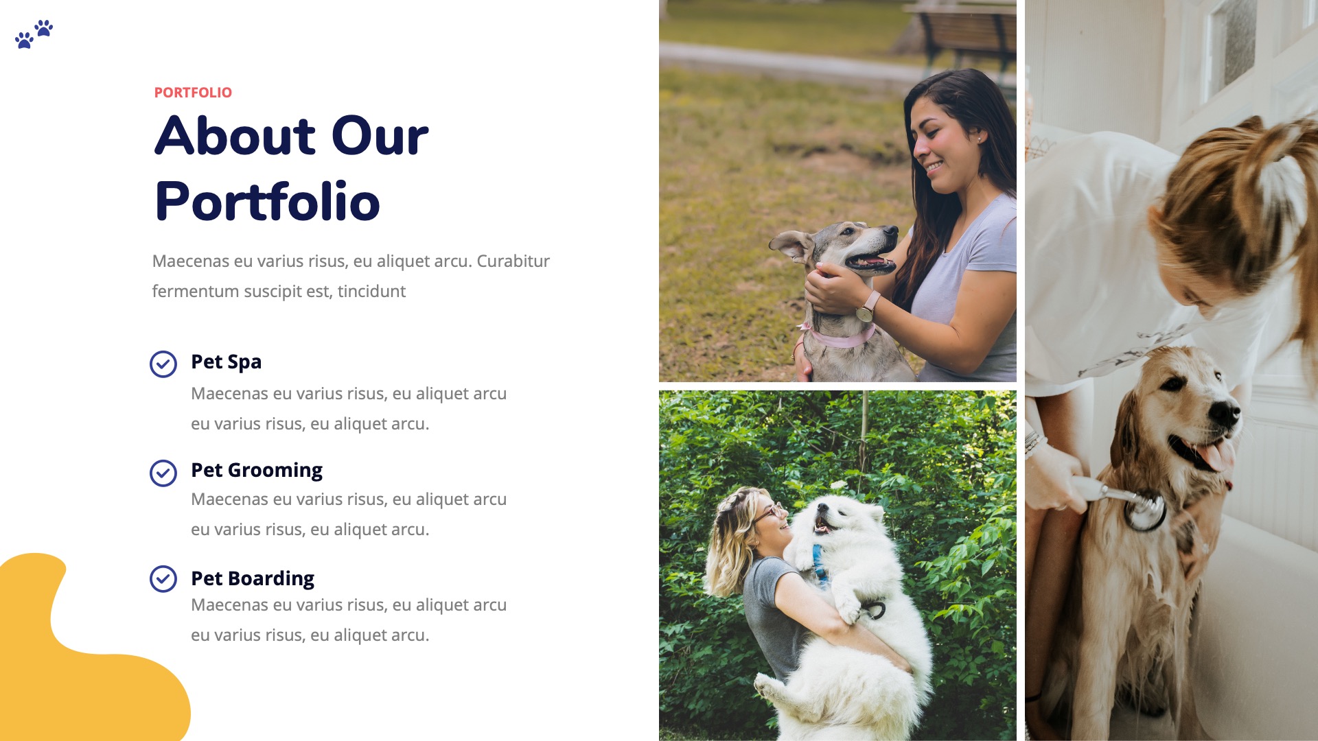 Petsnia - Petcare & Veterinary Google Slides Template, Presentation ...