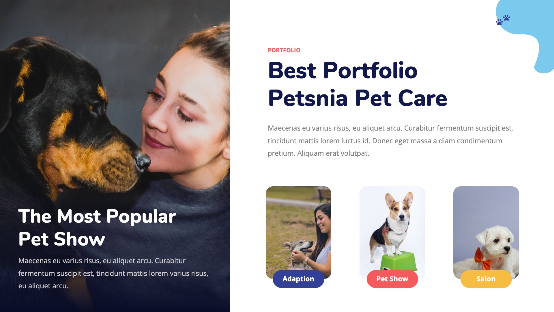 Petsnia - Petcare & Veterinary Google Slides Template, Presentation ...