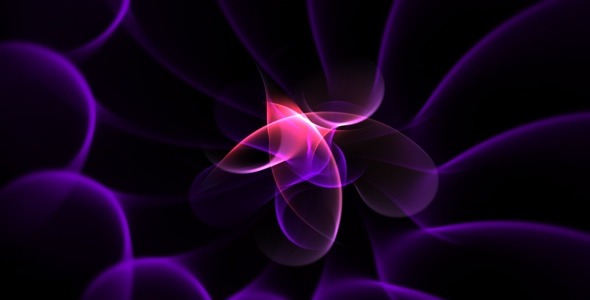 Fractal Art Collection - Night Rose - HD Loop, Motion Graphics | VideoHive