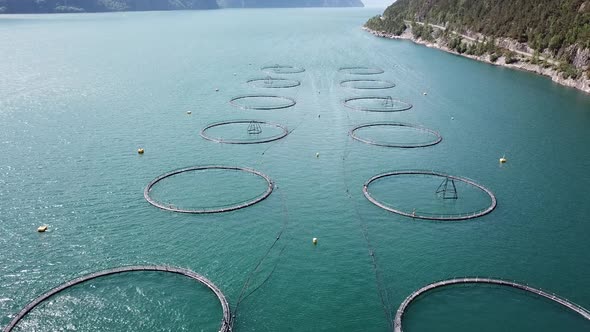 Aerial Footage Over Salmon Farm
