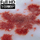 Blood On The Snow - VideoHive Item for Sale