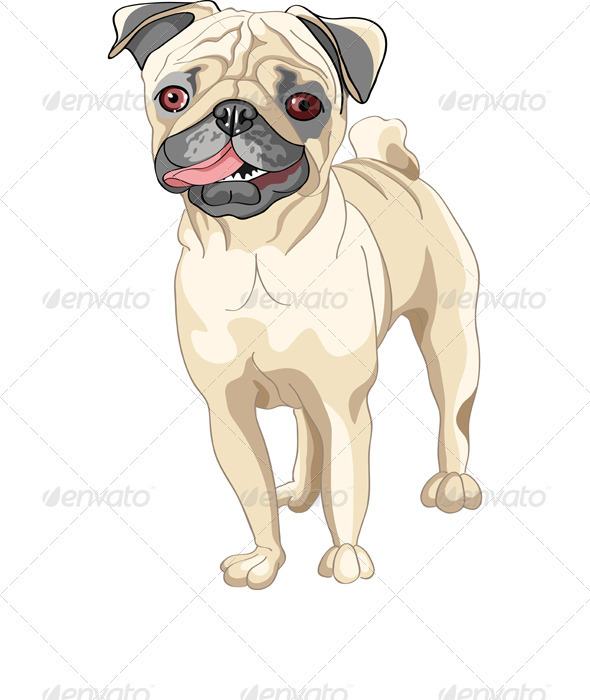 Vector Sketch Dog Smile Fawn Pug Breed - Animals Characters