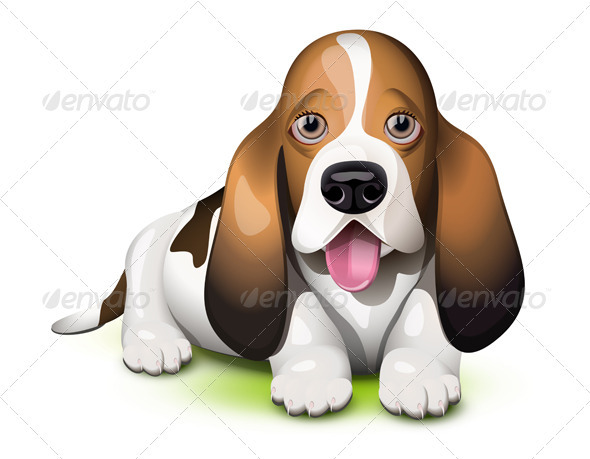 Basset Hound puppy - Animals Characters