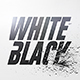 White And Black Logo Reveal