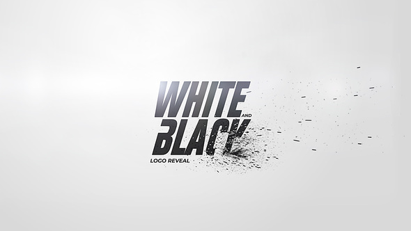 White And Black Logo Reveal