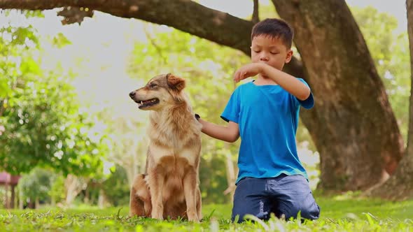 child playing with dog in the park