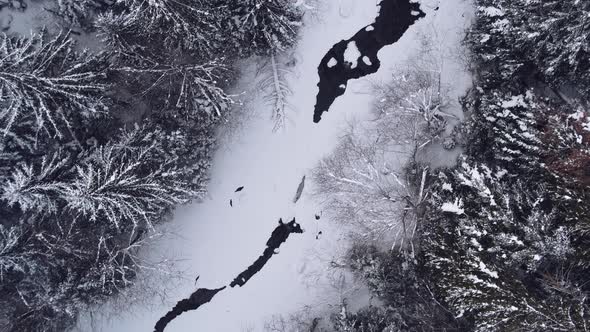 Aerial top view winter forest.