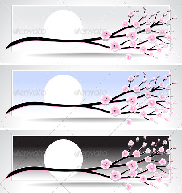 Set banners with flowering branch or cherry blosso - Nature Conceptual