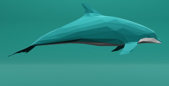 Dolphin Cartoon Lowpoly - 3Docean 30304671