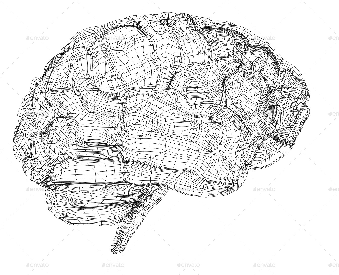 Human Brain Mesh Vector, Vectors | GraphicRiver