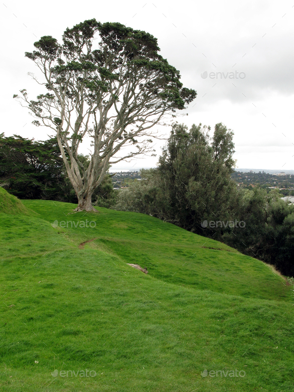 One Tree Hill & Cornwall Park, Aukland,  New Zealand - Stock Photo - Images