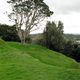 One Tree Hill &amp; Cornwall Park, Aukland,  New Zealand - PhotoDune Item for Sale