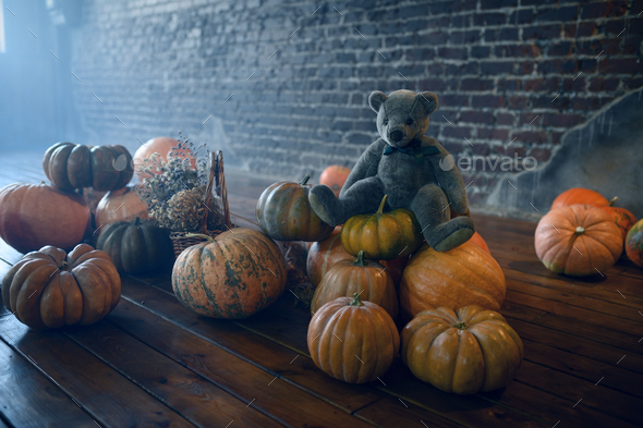 Pumpkins and teddy bear, nobody, exorcism concept