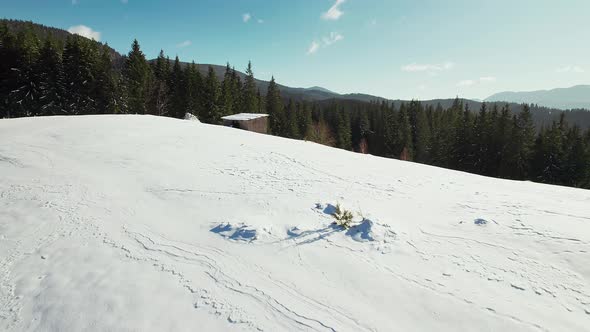 A Beautiful Panorama of the Mountains with a Snowy Glade in the Forest and a Barn