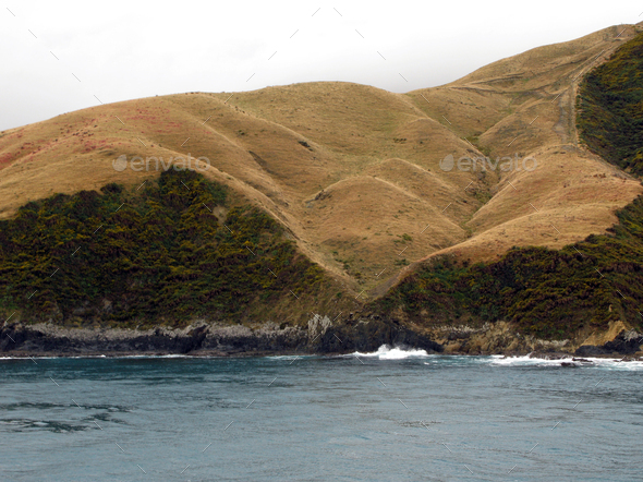 Marlborough Sound, New Zealand Stock Photo by imagexphoto | PhotoDune