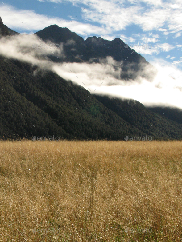 Milford Sound, Te Wahipounamu, New Zealand Stock Photo by imagexphoto