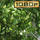 Silver Spoon with Parsley - VideoHive Item for Sale