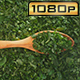 Chopped Parsley on Olive Wood Spoon - VideoHive Item for Sale
